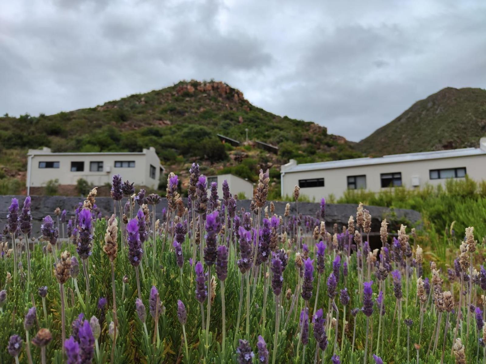 Roodekloof Apartment Montagu Exterior foto